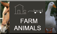 farmbanner