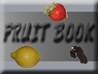 Fruitbook banner